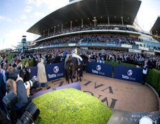 Projects Moonee Valley Racing Club