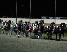 Projects Harness Racing