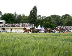 Projects Nz Racing Board