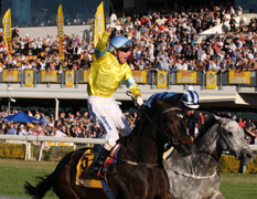 Projects Qld Racing