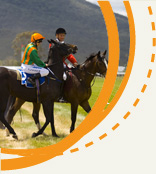 Country Racing Victoria