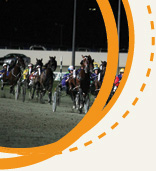 Harness Racing Australia