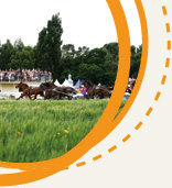 New Zealand Racing Board