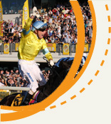 Queensland Racing Industry