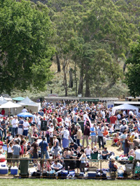 Country Racing Victoria