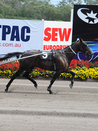 Harness Racing Australia – 2010 Inter Dominion