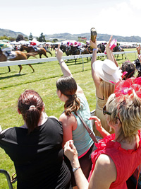 NZ Racing Board - Wellington Cup