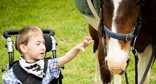 NZRDA