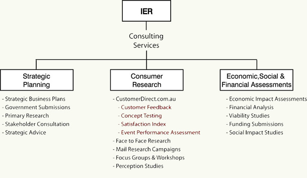 IER Consulting Services Overview